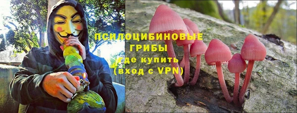 дурь Гусев