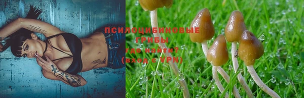 дурь Гусев