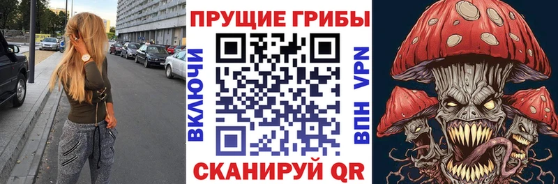 Купить  Борзя  Псилоцибиновые грибы мицелий 